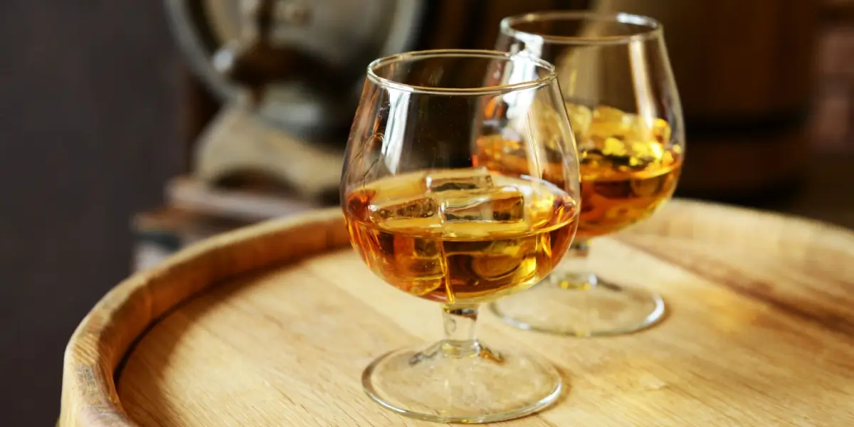 The Taste of French Connexion – A Refined Sip of Elegance